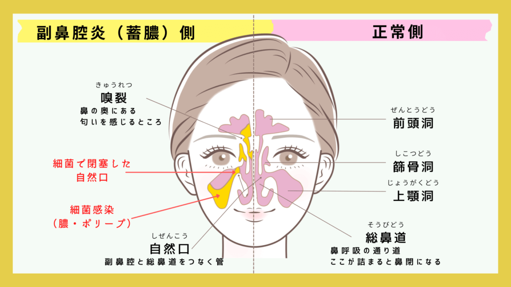 清塚信也 ロンドカプリチオーソ